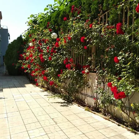 Appartement Alex S Nadhernym Panoramatickym Vyhledem Na Sveti Vlas