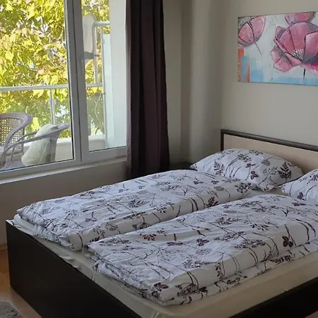 Alex S Nadhernym Panoramatickym Vyhledem Na